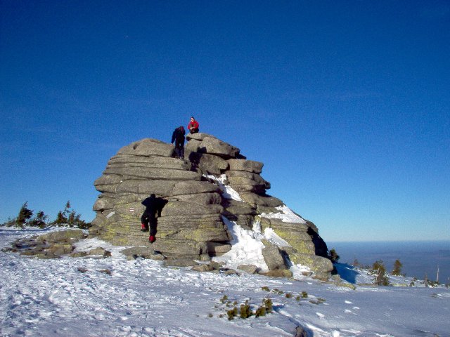 Photograph